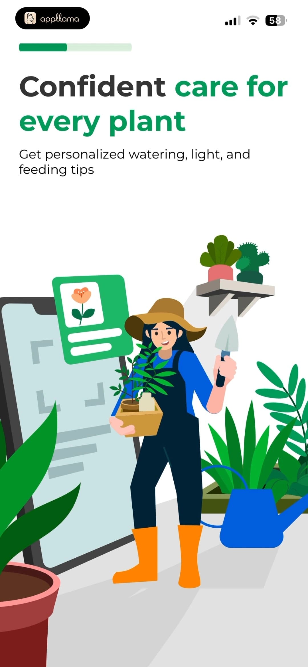 Plant Care Tips