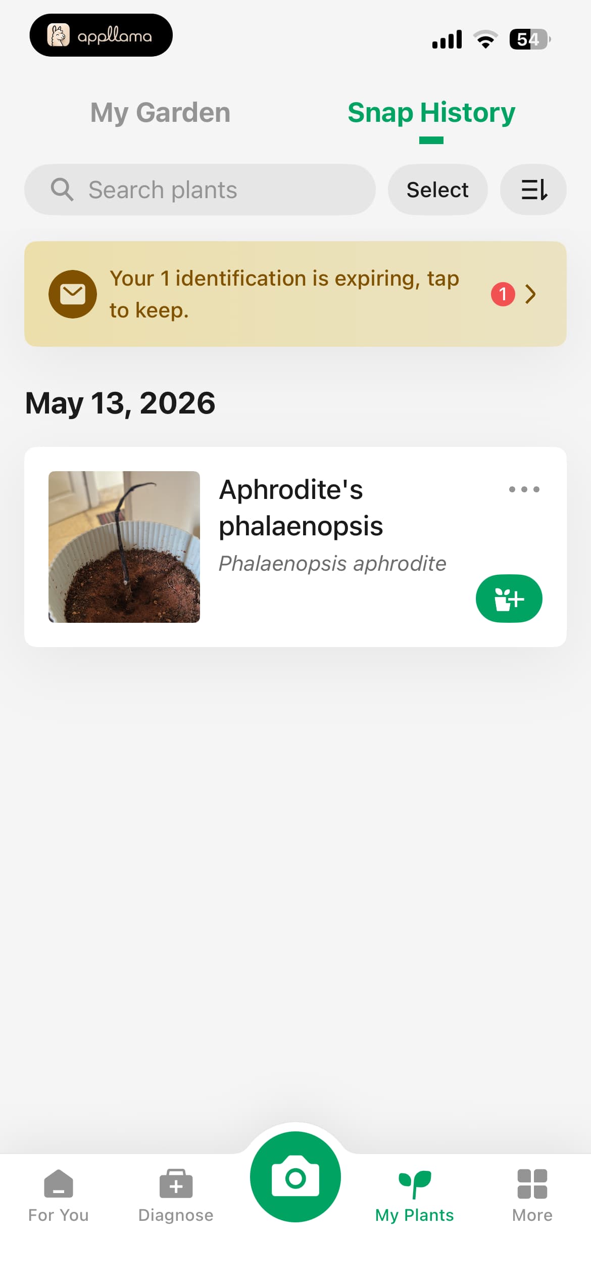 Diagnosis History