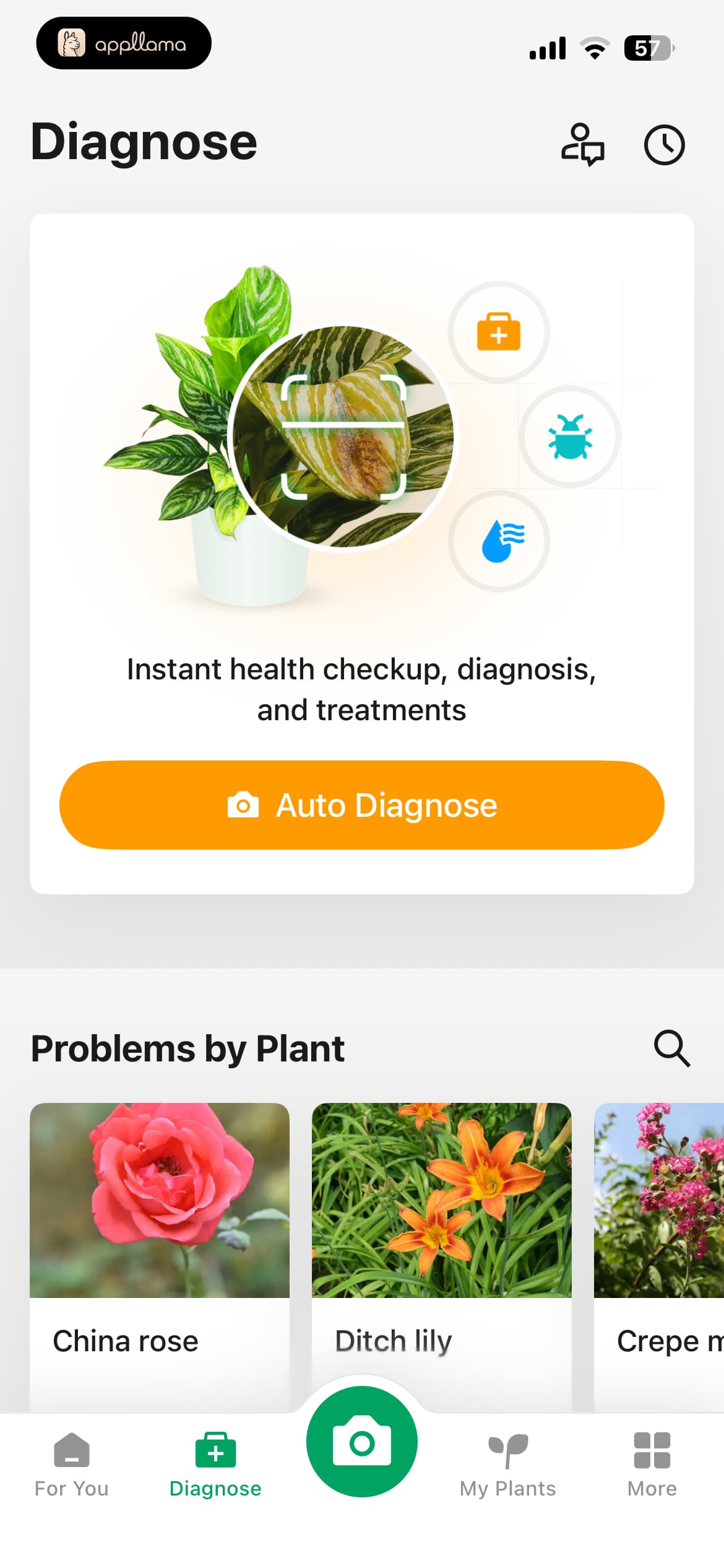 Diagnose