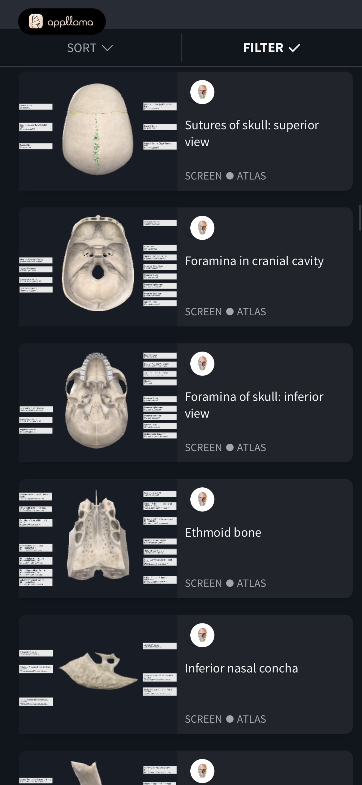 Head Result List