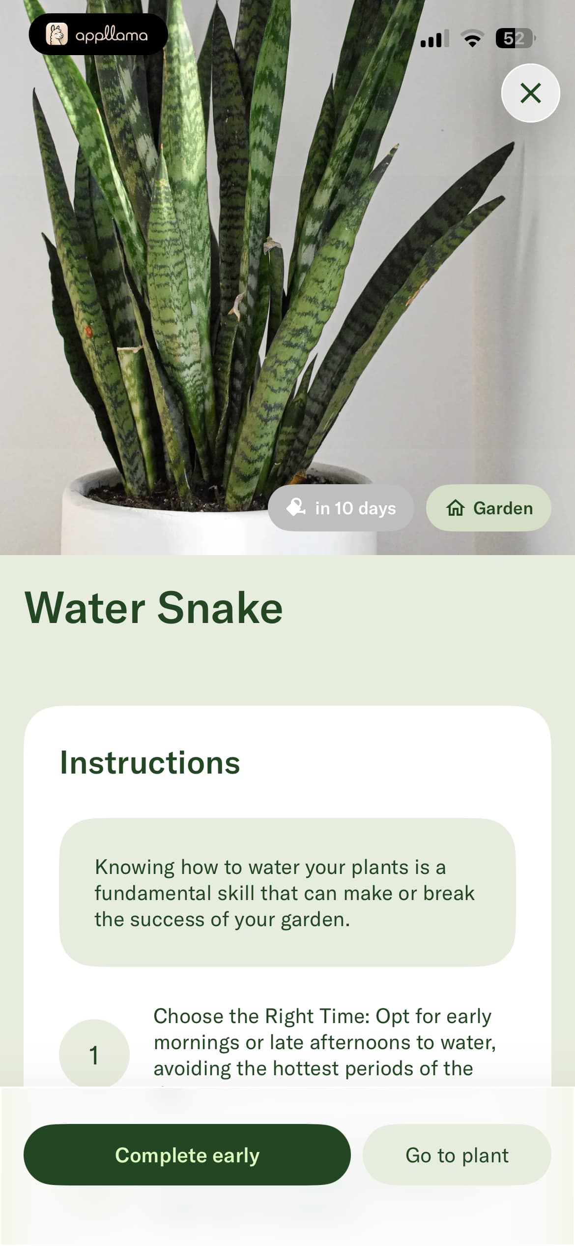 Watering Instructions