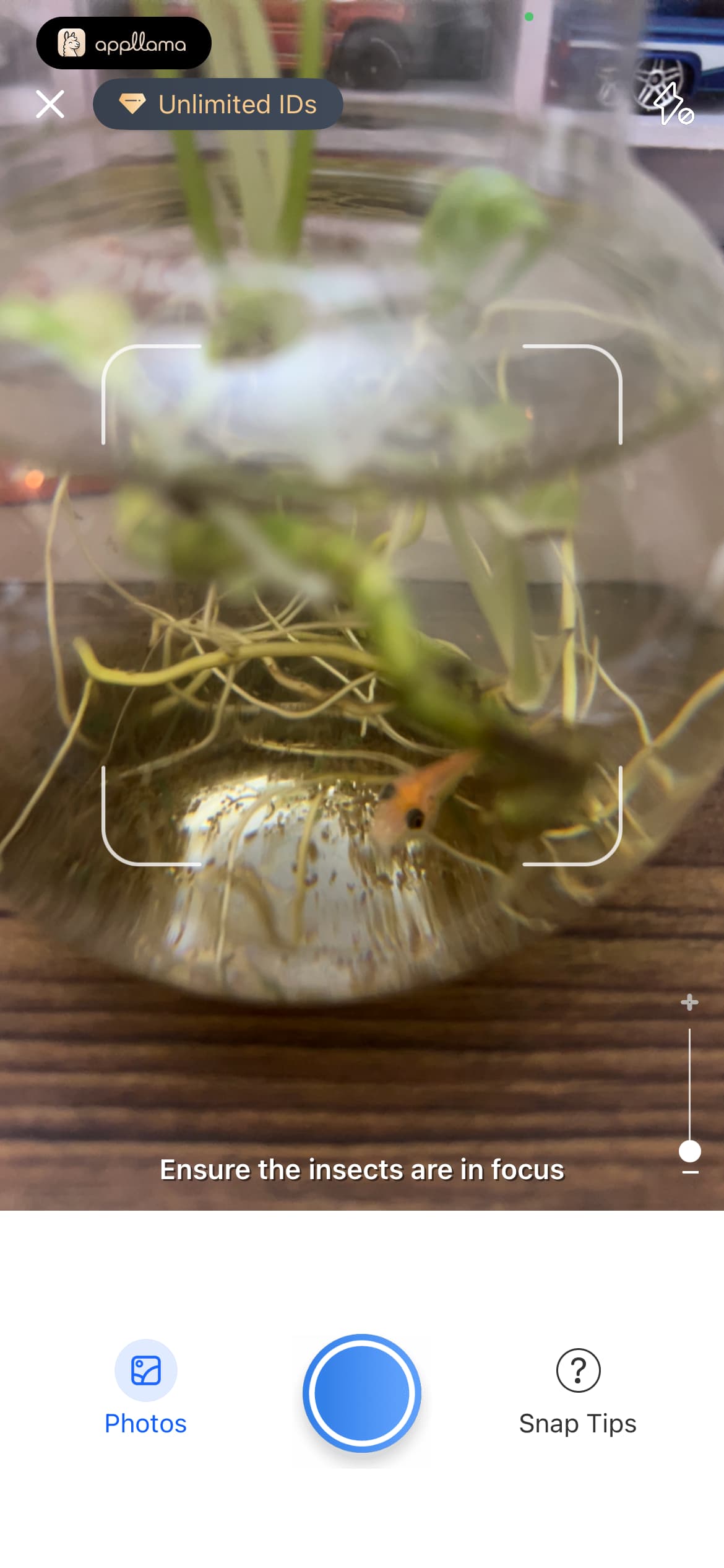 Live Camera Scanner