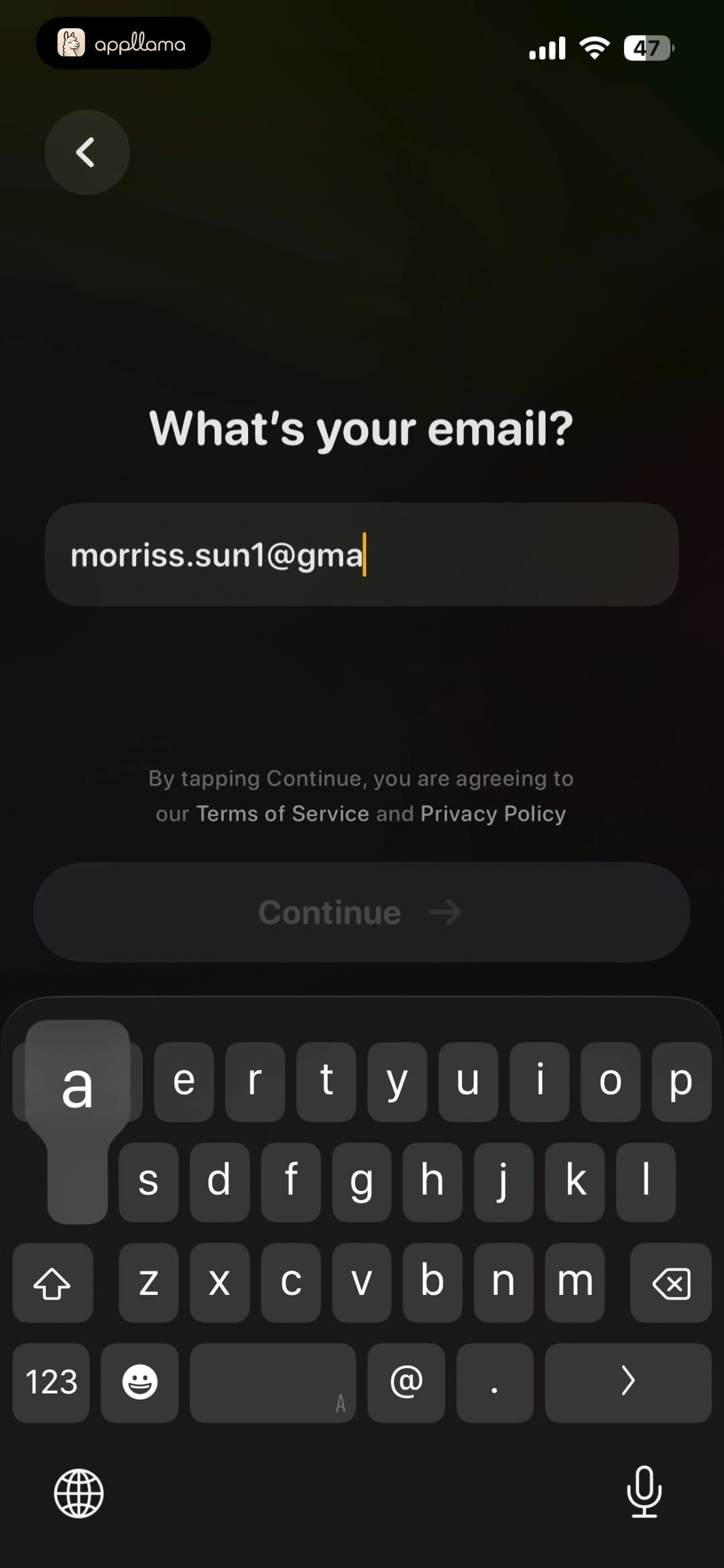 Email Entry