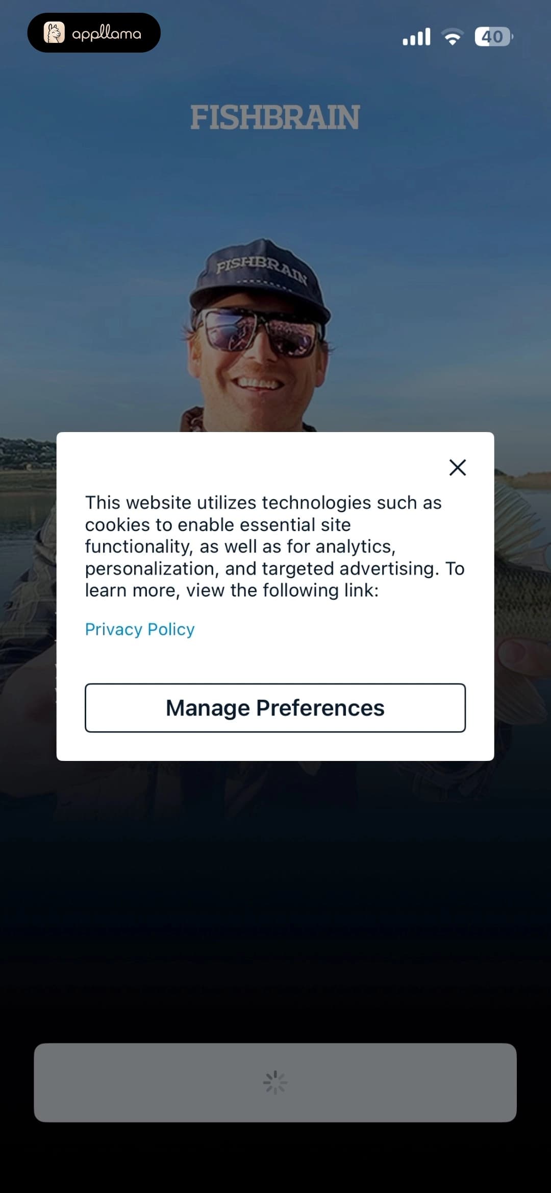 Cookie Consent Modal