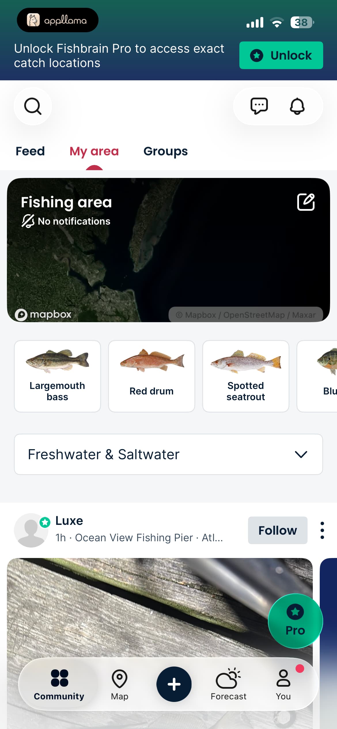 My Area Feed