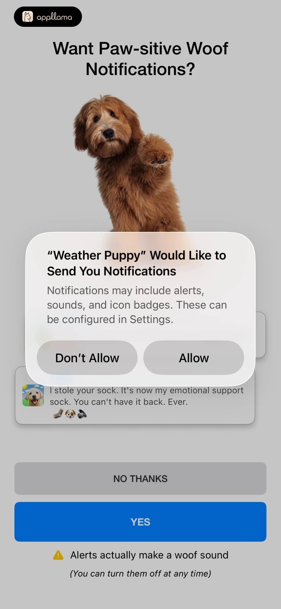 iOS Notification Permission