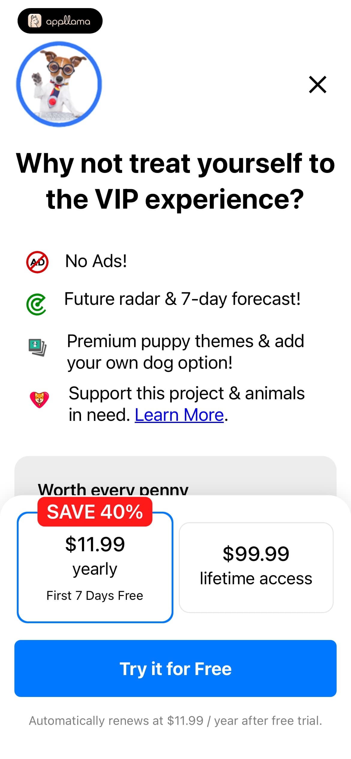 VIP Subscription Offer